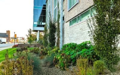 Five Cool Ways to Provide Stormwater Management